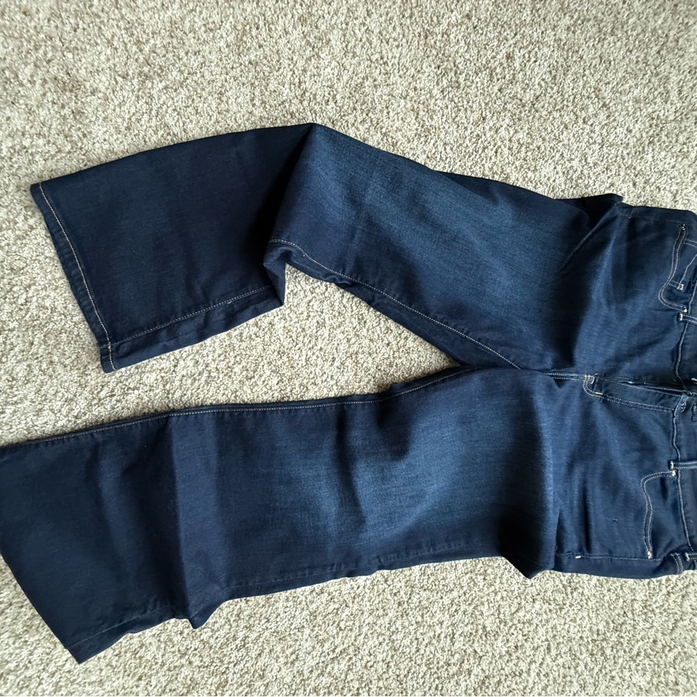 Lane Bryant Women's Blue Jeans